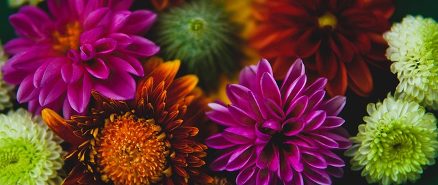 尽管伤病可 尽管伤病可