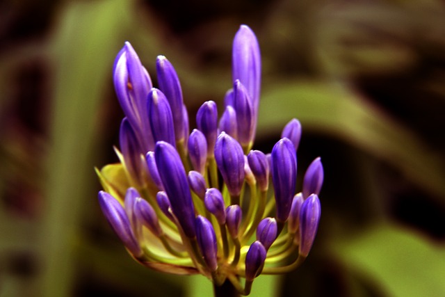 头衔固然重 头衔固然重