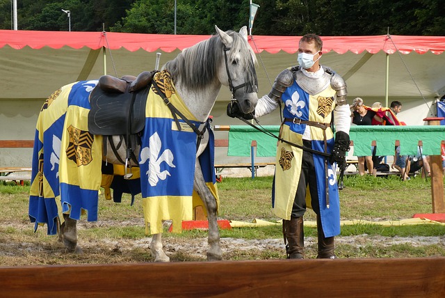 他们失利的 他们失利的