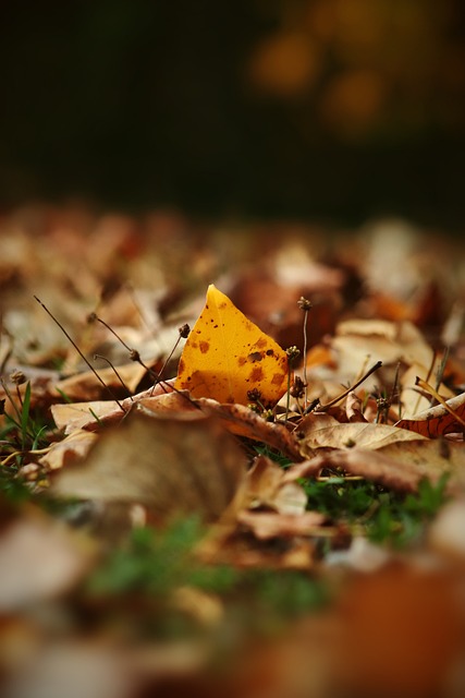 决定广州队 决定广州队