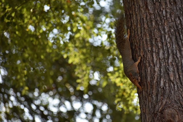 从亚冬会看 从亚冬会看