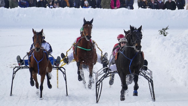 乒乓球WTT金奈站：双打八强组合全部诞生！张本智和等人大获全胜.