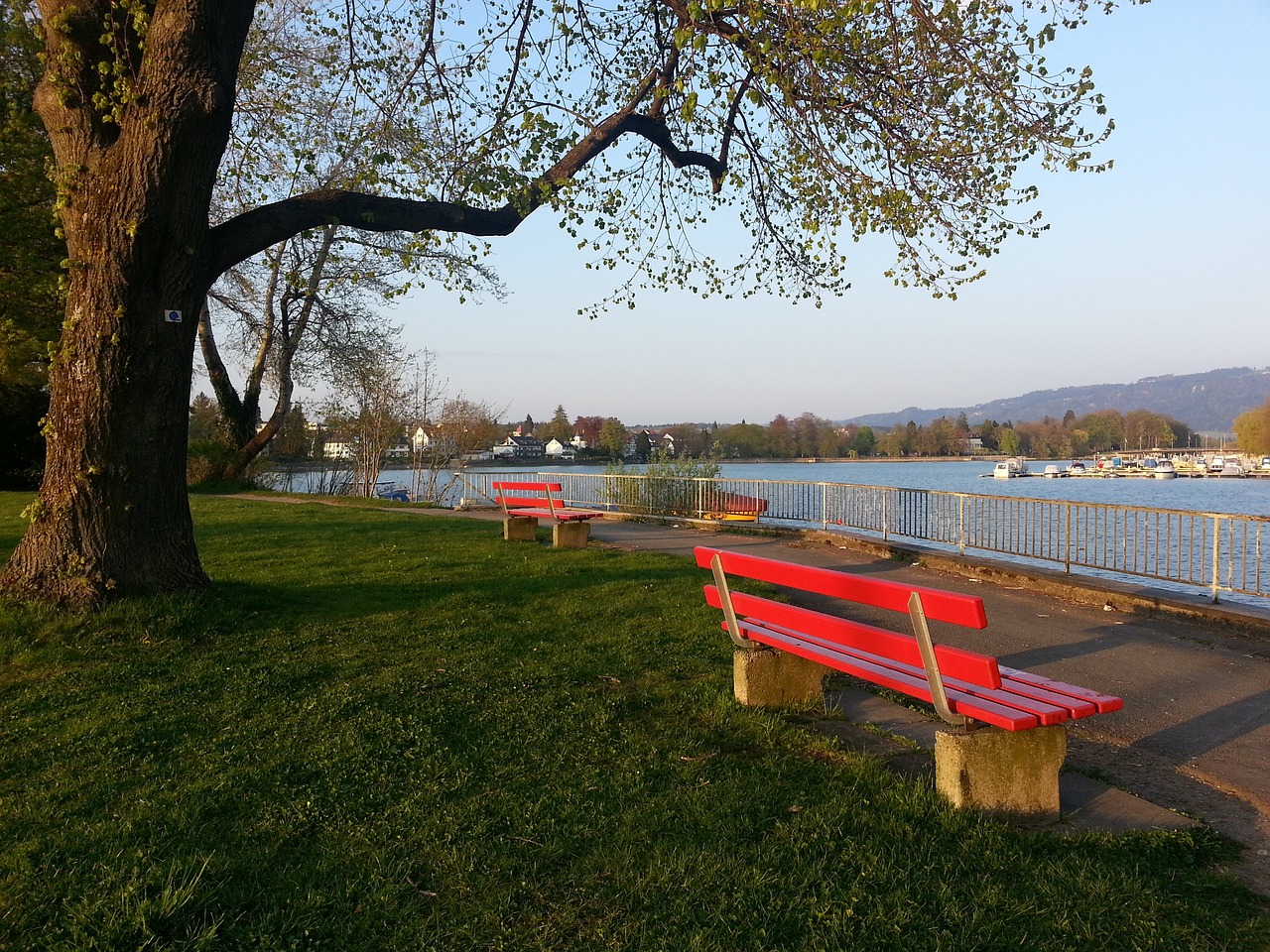 次调整其整 次调整其整