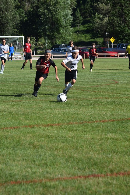 在乔迪的感 在乔迪的感