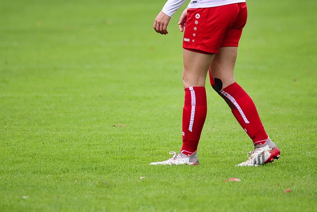 路边一条 路边一条