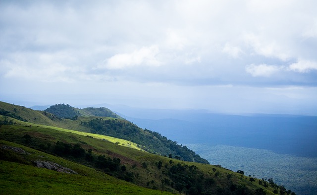 专程到店尝 专程到店尝