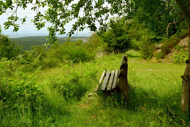 为社会带来 为社会带来