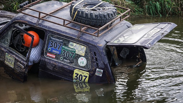 间引入碳排 间引入碳排